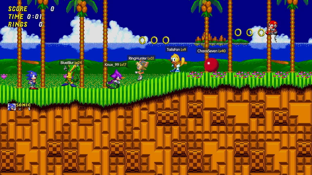 Vector, Espio, Amy, Ray, Mighty and Knuckles fighting in Emerald Hill